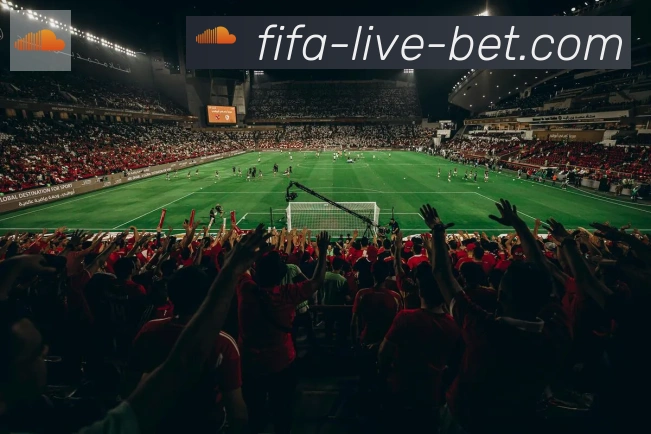 FIFA世界杯买球官方网站荣誉