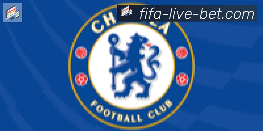 FIFA世界杯买球官方网站合作伙伴